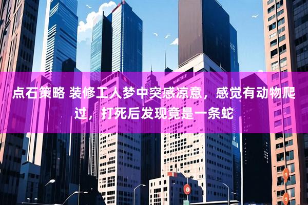 点石策略 装修工人梦中突感凉意，感觉有动物爬过，打死后发现竟是一条蛇