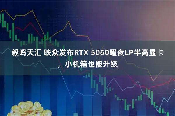 毅鸣天汇 映众发布RTX 5060曜夜LP半高显卡，小机箱也能升级