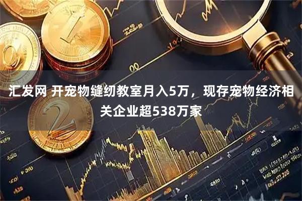 汇发网 开宠物缝纫教室月入5万，现存宠物经济相关企业超538万家