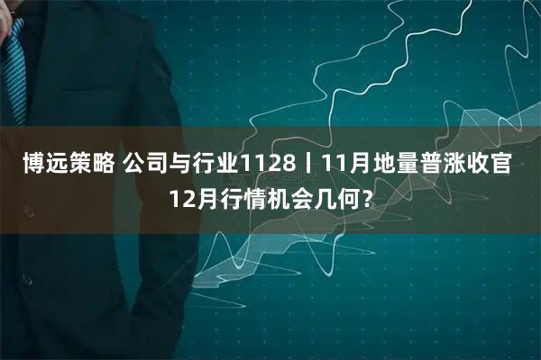 博远策略 公司与行业1128丨11月地量普涨收官 12月行情机会几何？