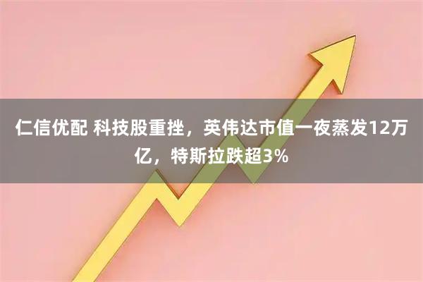 仁信优配 科技股重挫，英伟达市值一夜蒸发12万亿，特斯拉跌超3%